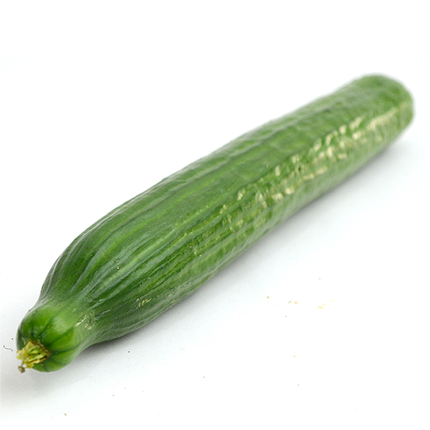 Cucumbers, English- #1336947
