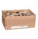 Cheese, Marble Cheddar, Portion 21g- #6400426 CANADA